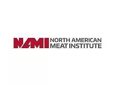 NAMI Logo