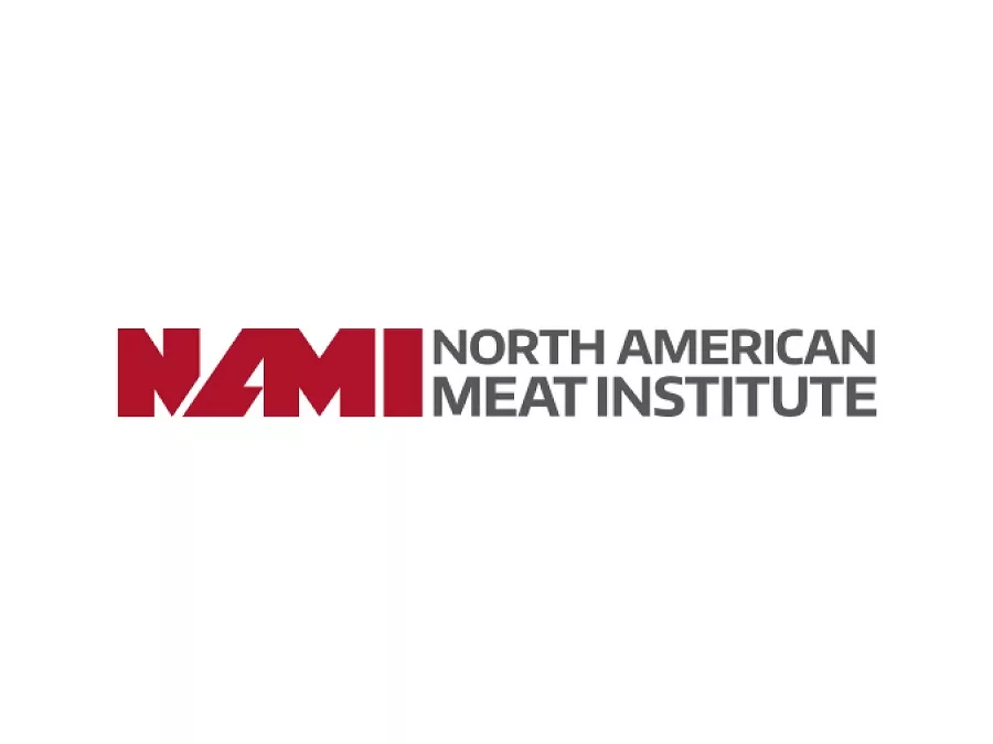 NAMI Logo