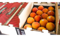 Fresh Peaches Limited Time Sales Sysco Summeripe