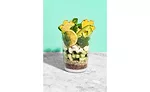 Green Superfoods Smoothie Kit Frozen Blendtopia Glass