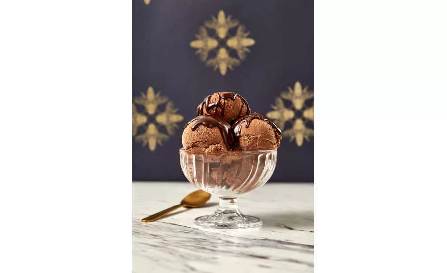 Dairy Free Ice Cream Plant Based Chocolate Cascade Glacier