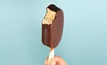 Dairy Free Frozen Dessert Must Love Ice Cream Bar