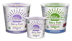 Dairy Free Yogurt Oatmilk Halsa National Grocers Vitamin Cottage