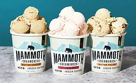 Keto Frozen Custard Butter Coffee Strawberry Butter Pecan Mammoth Creameries