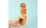 Dairy Free Frozen Dessert Must Love Ice Cream Cone
