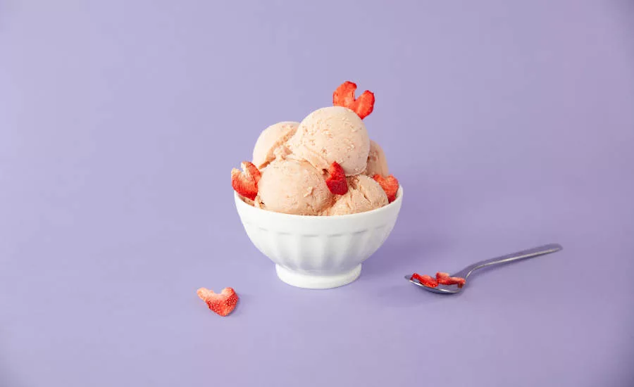 Dairy Free Frozen Dessert Must Love Ice Cream Bowl