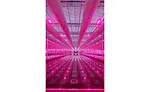 Indoor Farming Greenhouse Lights Lettuce Tehachapi California Revol Greens