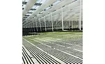 Indoor Farming Greenhouse Lettuce Tehachapi California Revol Greens