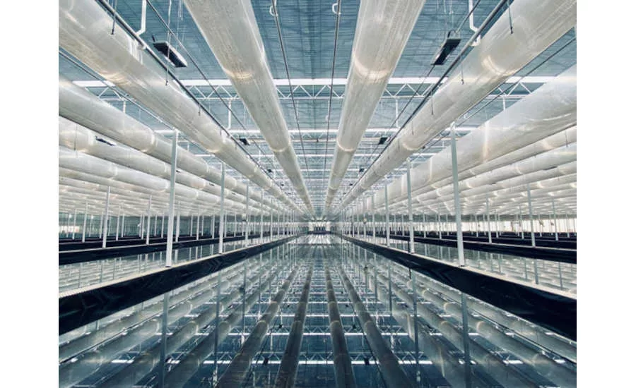 Indoor Farming Greenhouse Tehachapi California Revol Greens