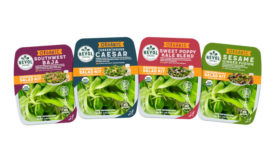 Greenhouse Grown Salad Kits Revol Greens