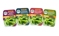 Greenhouse Grown Salad Kits Revol Greens