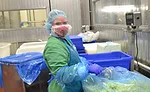 RTE Deli Salads Sandridge Foods Platinum Healthy Worksite Award Northeast Ohio