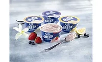 Dairy Free Greek Yogurt Silk