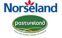 Irish Cheddar Cheese Dairygold Pastureland Norseland Distribution