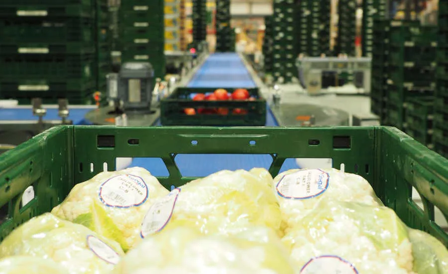 Edeka Germany Grocery Automation