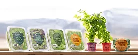 Indoor Farming Sustainable Agriculture Local Bounti