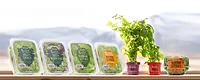 Indoor Farming Sustainable Agriculture Local Bounti Indoor Farming Sustainable Agriculture Local Bounti