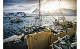Varanger Peninsula Norway Batsfjordbruket Seafood Starfrost