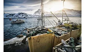 Varanger Peninsula Norway Batsfjordbruket Seafood Starfrost