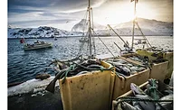 Varanger Peninsula Norway Batsfjordbruket Seafood Starfrost