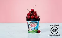 Gluten Free Ice Cream Ben & Jerry's