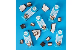 Greek Yogurt Coconut Chocolate Covered Parfait Snack Bars Clio