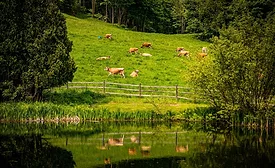 Regenerative Agriculture Dairy Danone North America