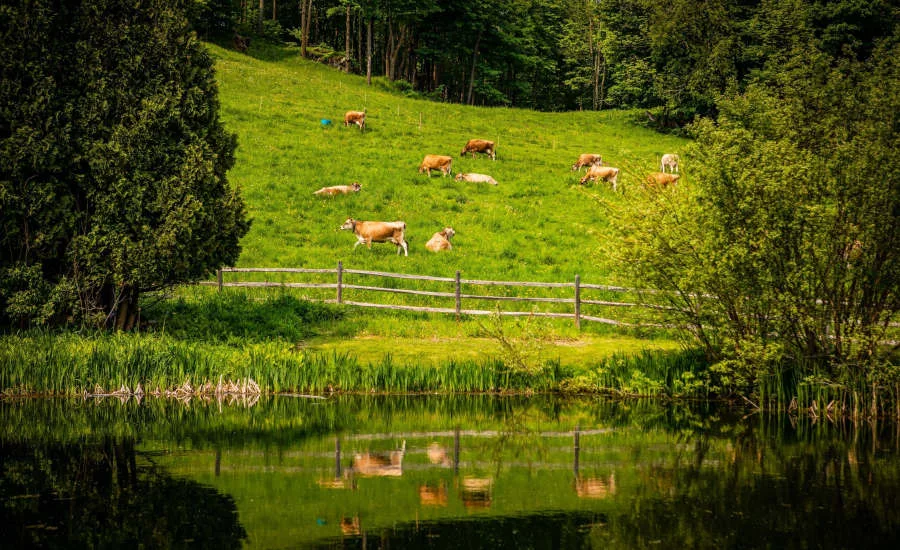 Regenerative Agriculture Dairy Danone North America
