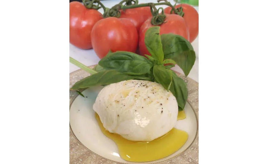 Burrata Cheese Animal Free Dairy Remilk