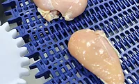 Raw Chicken Breast Sanitary Modular Conveyor Belt SideDrive Intralox Raw Chicken Breast Sanitary Modular Conveyor Belt SideDrive Intralox