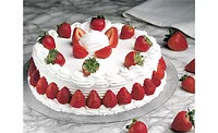 Tasty Whip Aquafaba Pea Protein Vegan Whipped Topping Tasty Whip Aquafaba Pea Protein Vegan Whipped Topping