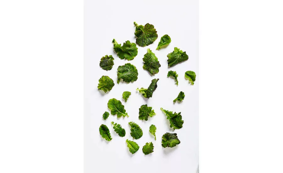 Indoor Farming Mustard Frills Greens Bowery Leaves