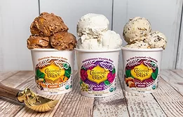Coconut Bliss Plant-Based Dessert
