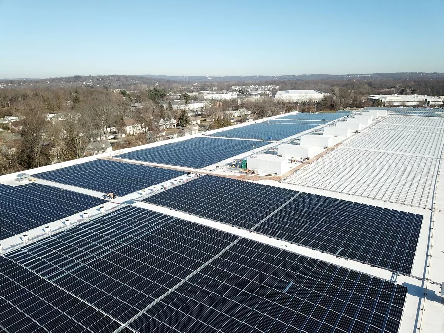 Driscoll Sustainable Solar Panels