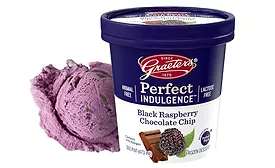 Animal Free Ice Cream Black Raspberry Chocolate Chip Graeter's Kroger