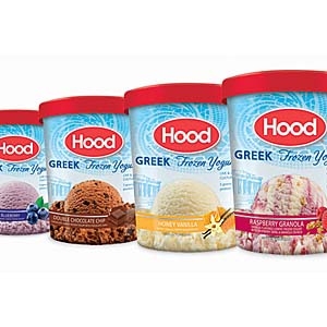 HP Hood frozen yogurt
