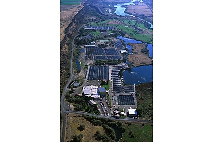 Clear Springs trout facility