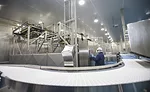 Plant Conveyor