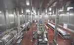 The Meatball Room