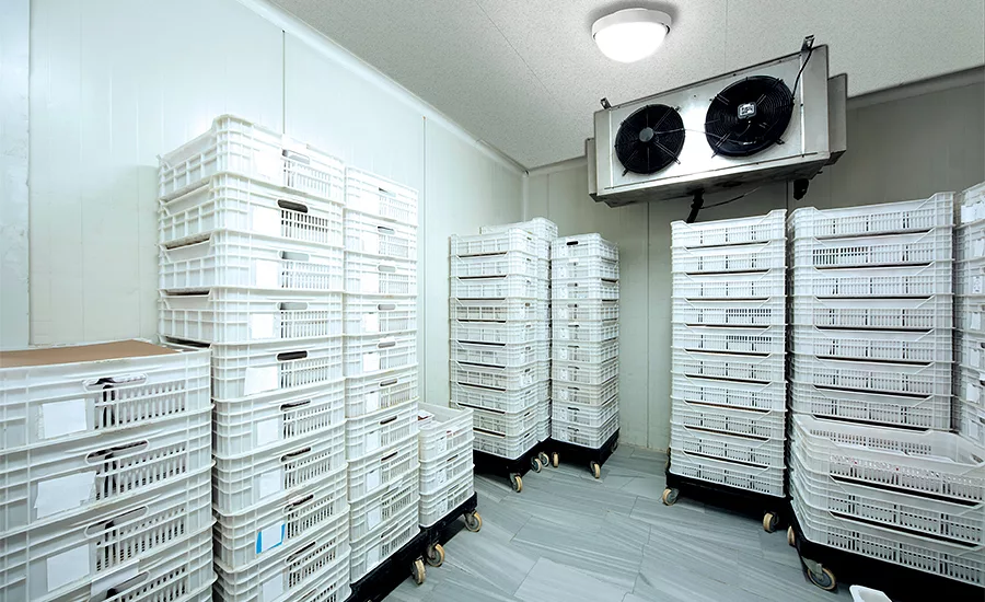 Kenall TekDek for Cold Storage