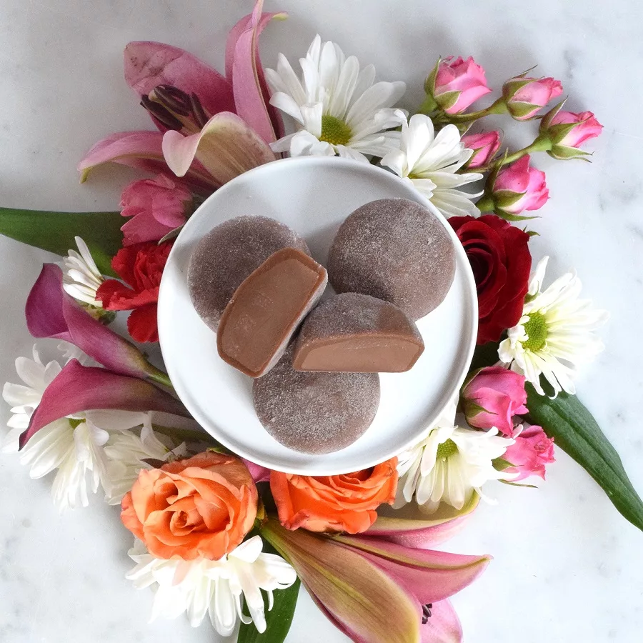 Mochidoki Chocolate Ice Cream