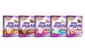 Vegan Oat Milk Frozen Mochi Ice Cream Dessert