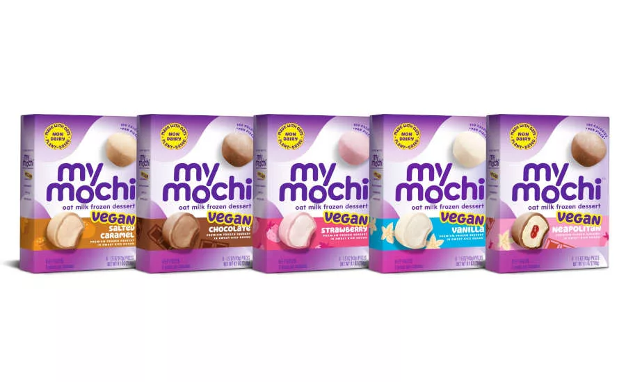 Vegan Oat Milk Frozen Mochi Ice Cream Dessert