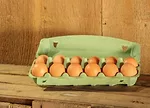 Nature's Yoke Carton