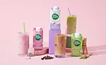 Dairy Free Sugar Free Coffee Creamer Nutpods Confection Collection