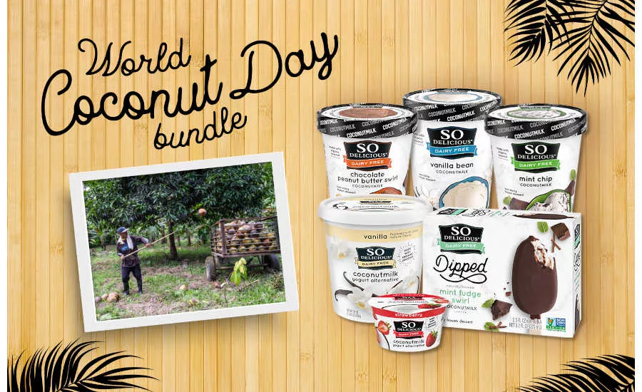 Dairy Free Coconut Ice Cream Yogurt Desserts So Delicious