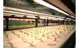 Crop One Holdings Greens Shelf