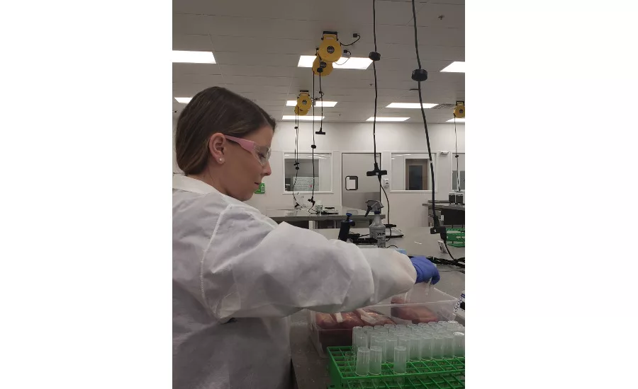 FSNS Greeley, CO lab 