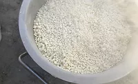 GEA Freeze-dried bacteria plant