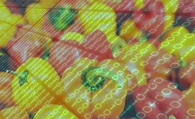 Motorleaf Big Data